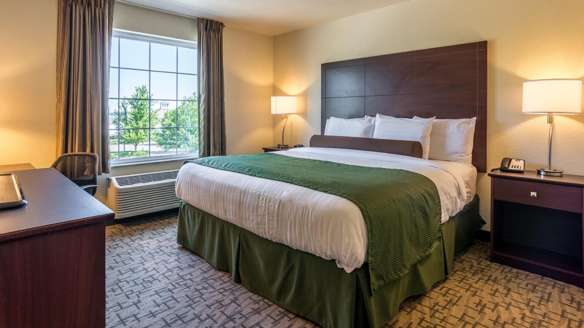 Guest Room, Single, Queen Bed, Accessible