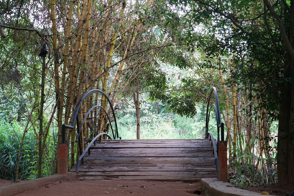 Pinthaliya Resort & Spa 40/50