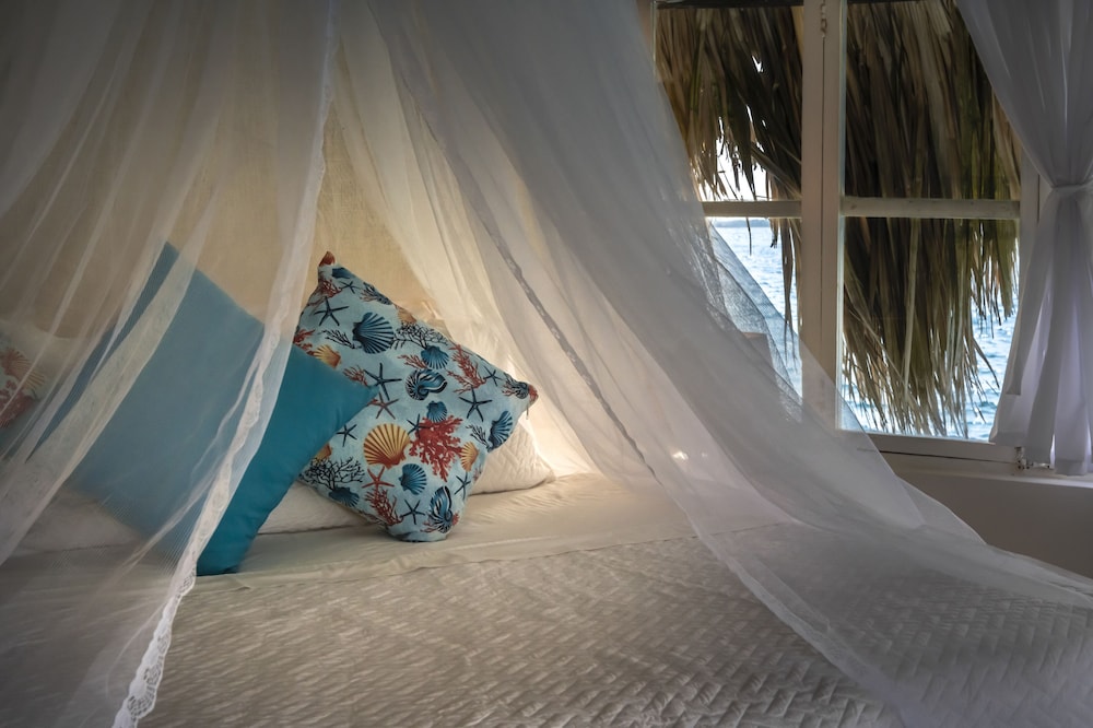 Hotel Coralina Island 25/50