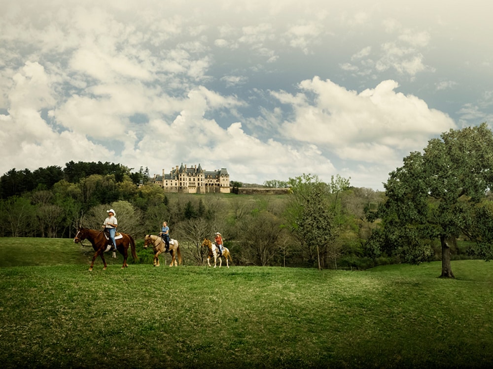 Inn On Biltmore Estate 47/50