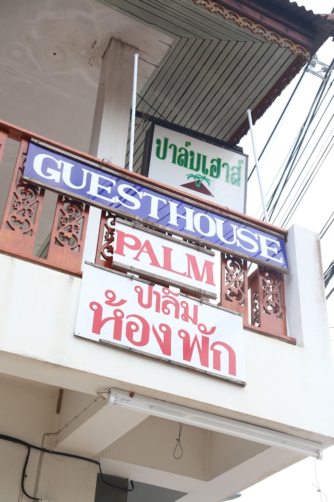 Palm House 1/23