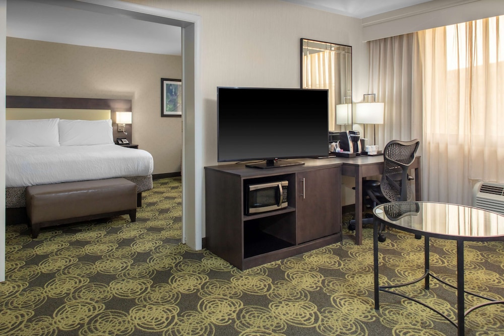 Hilton Garden Inn Reagan National Airport 19/72