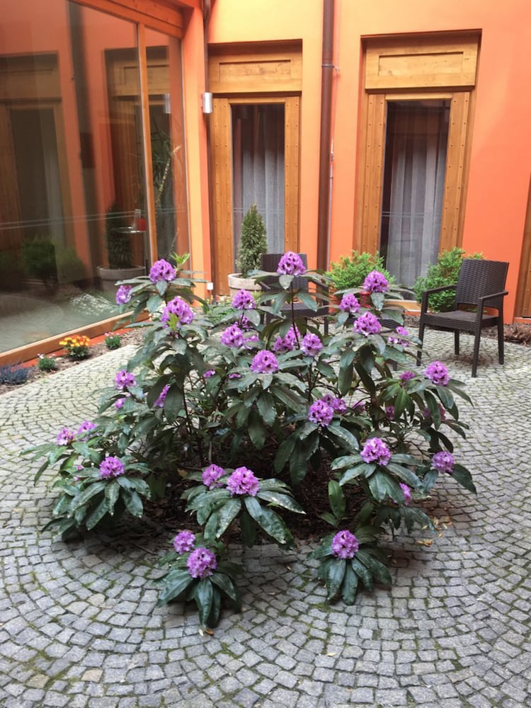 Ea Embassy Prague Hotel Formerly Euroagentur Art Embassy 41/45