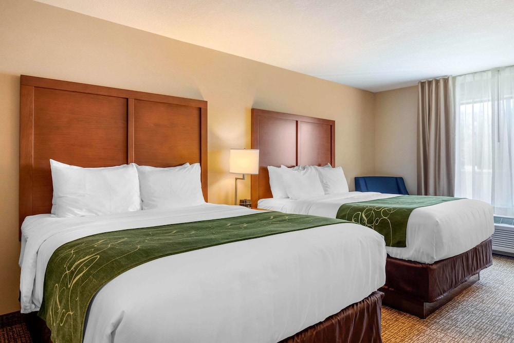 Comfort Inn Suites Schenectady - Scotia 9/44