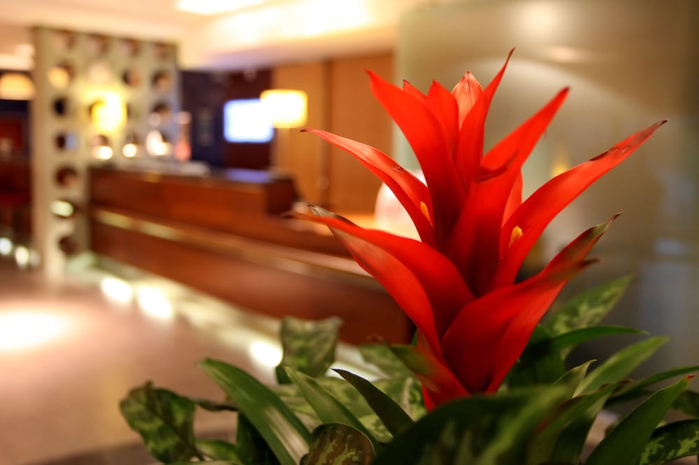 Holiday Inn Express Southampton M27 Junction 7 7/50