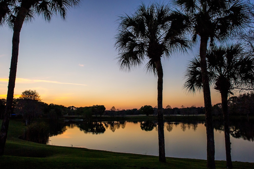 Hyatt Regency Grand Cypress Hotel 46/51