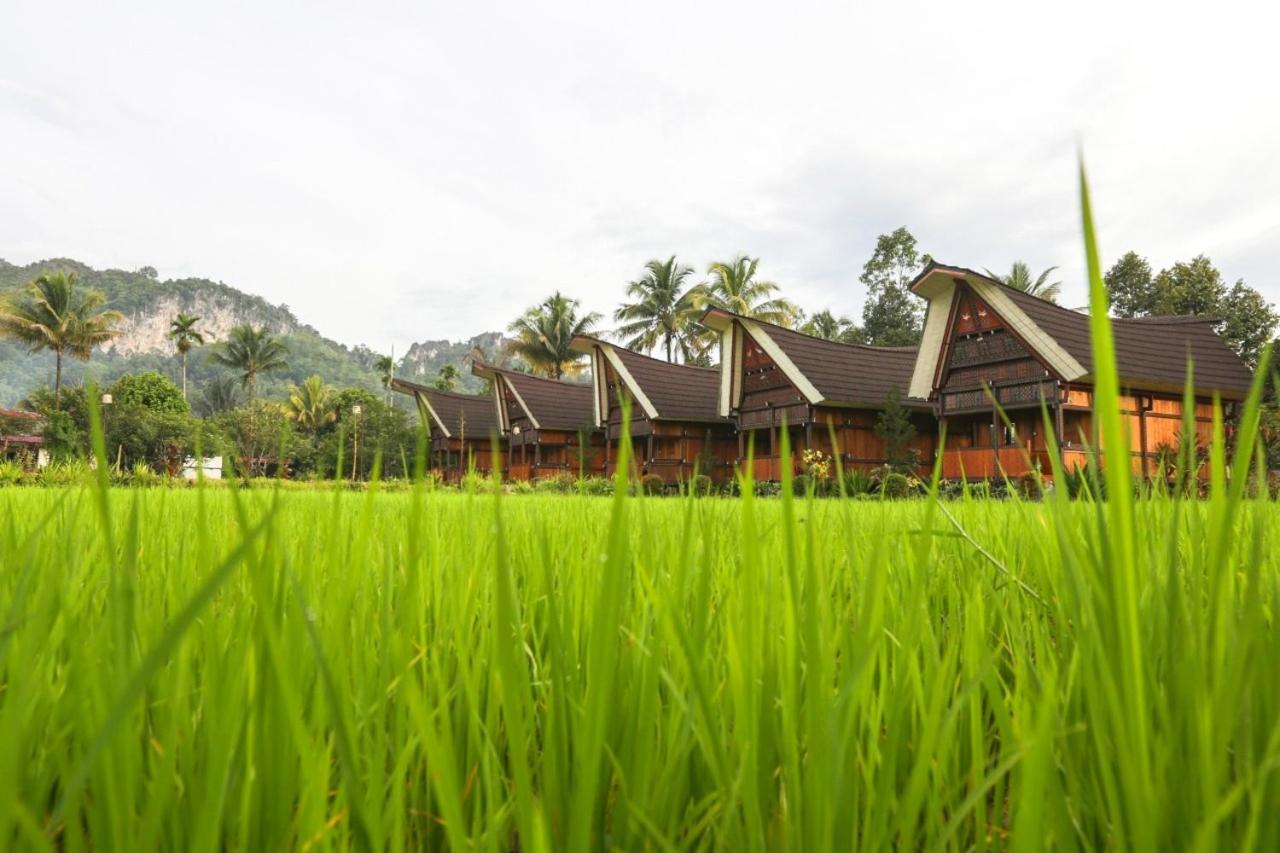 Toraja Misiliana 40/49