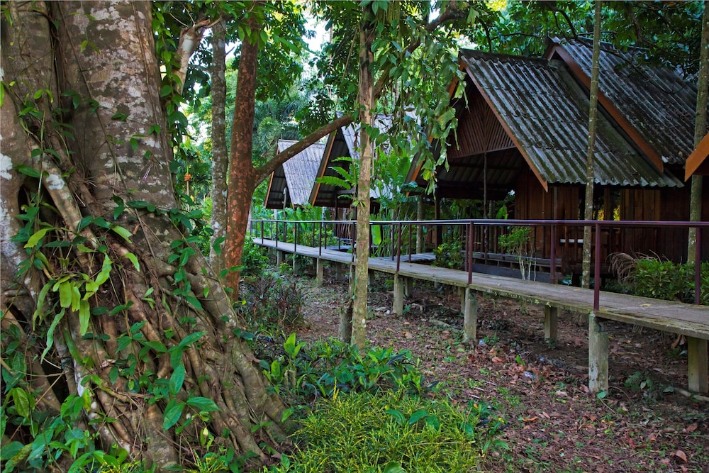 Khao Sok Riverside Cottages 41/50
