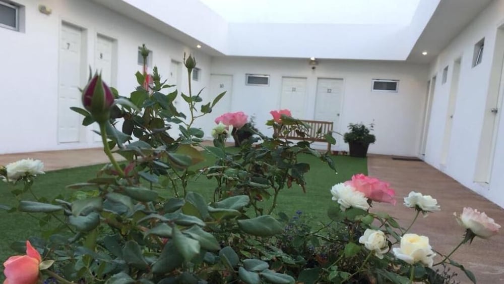Hotel Baja 26/26