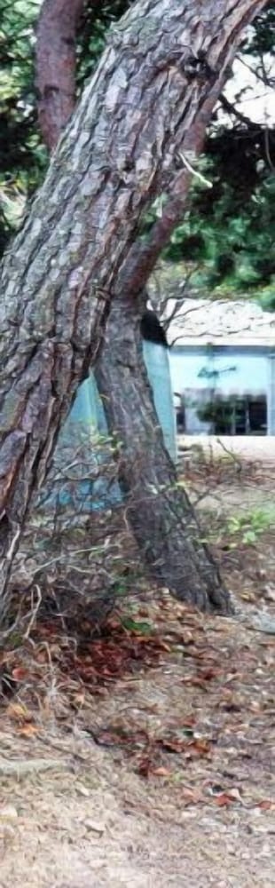 Yeongheung-Do Mirim Pension 44/50