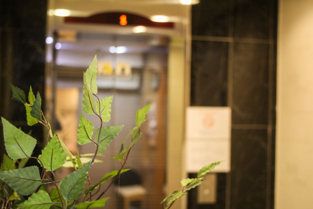 Must Stay (ex. Seoul Backpackers) 32/47