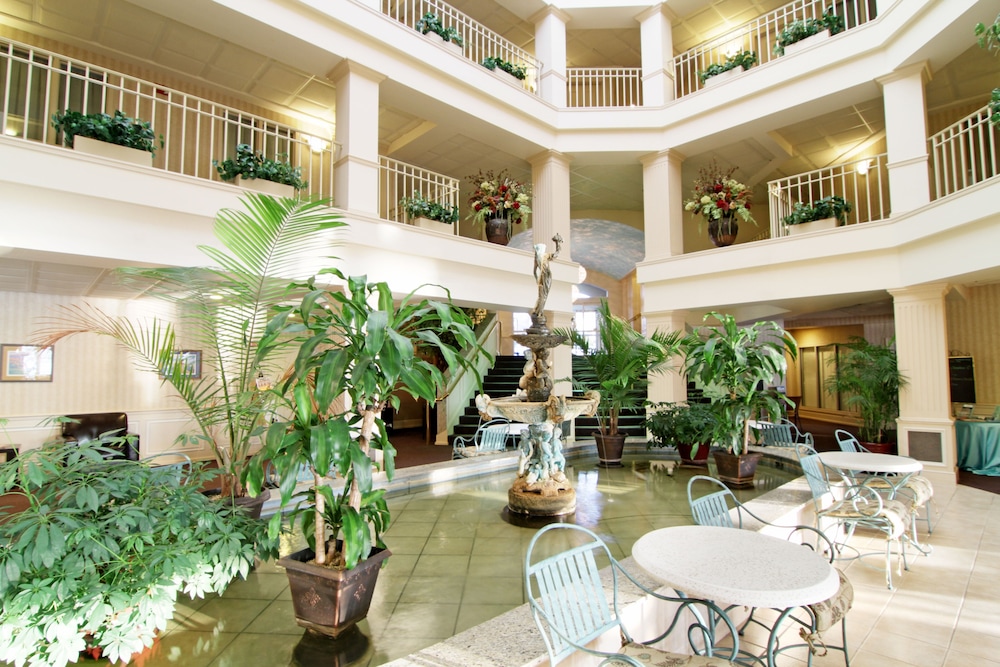 Bella Vista Suites 45/59