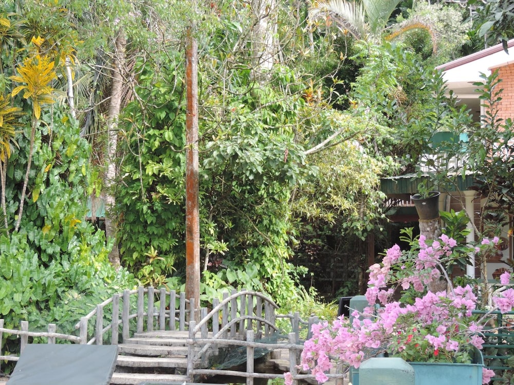 Rainforest Lodge 40/50
