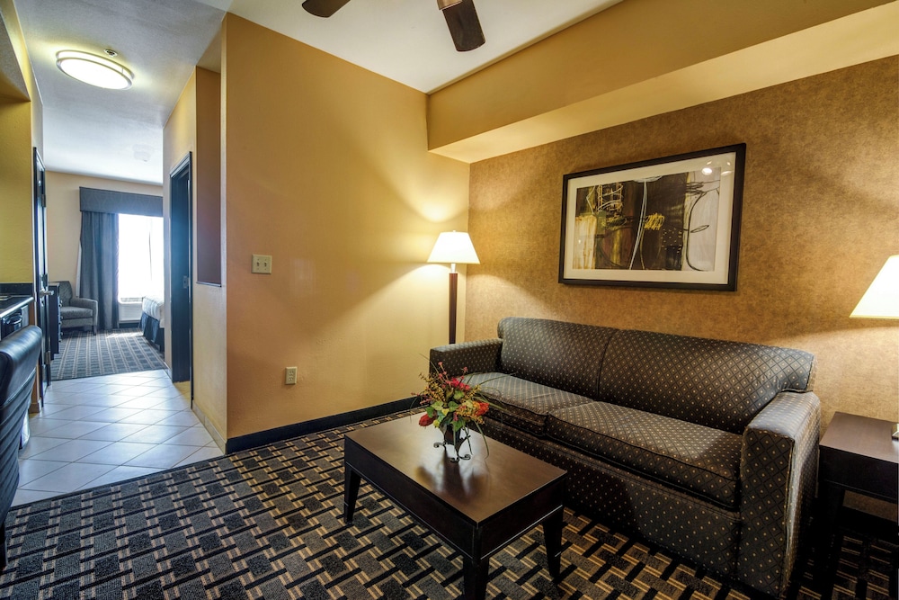 Holiday Inn Arlington Ne Rangers Ballpark 38/69