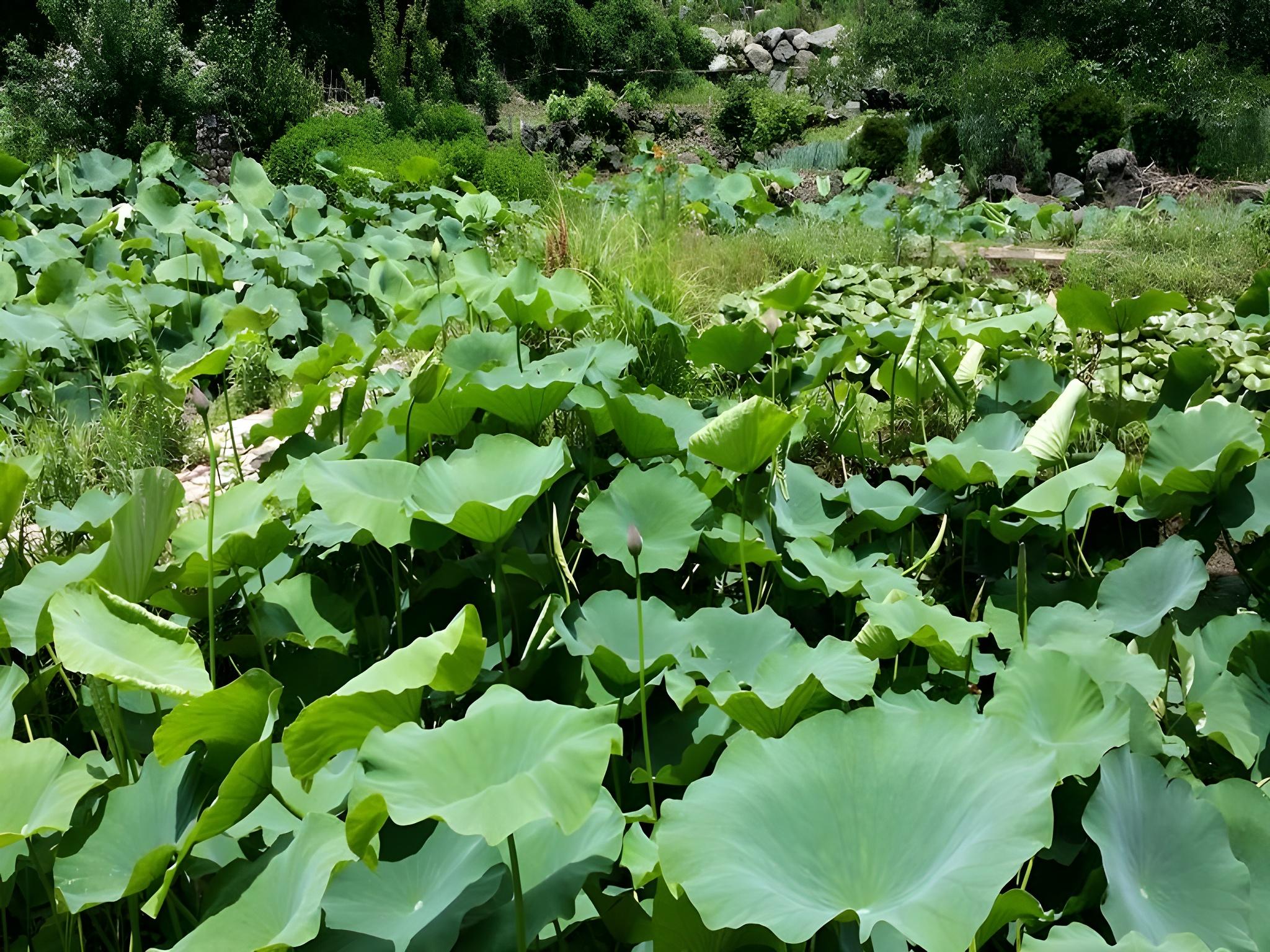 Jeju Gdygla Guesthouse 49/54