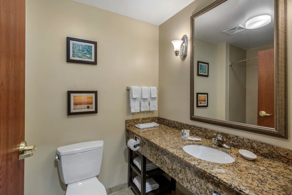 Comfort Suites Seaford 16/35