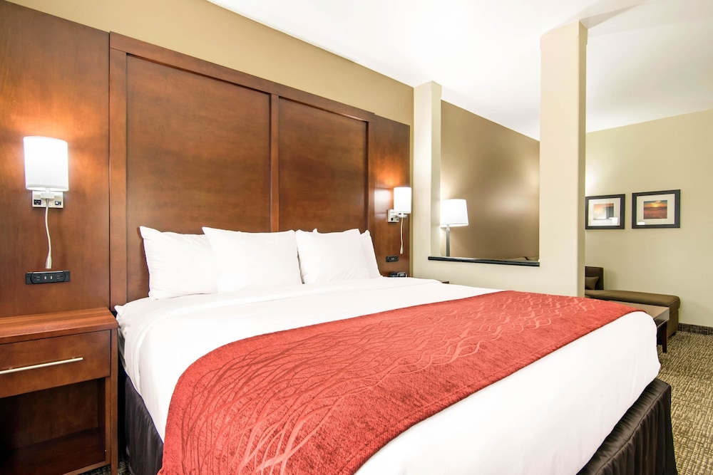 Comfort Inn and Suites Independence 9/40