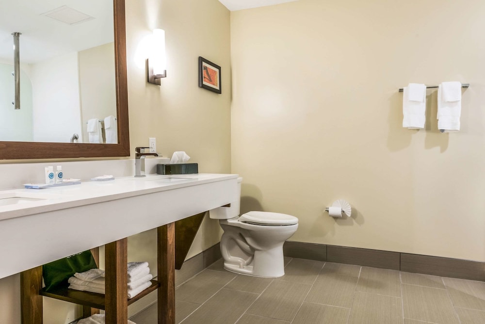 جناح بسريرين كوين لذوي الإعاقة، Comfort Suites Florence - Cincinnati South 6/7