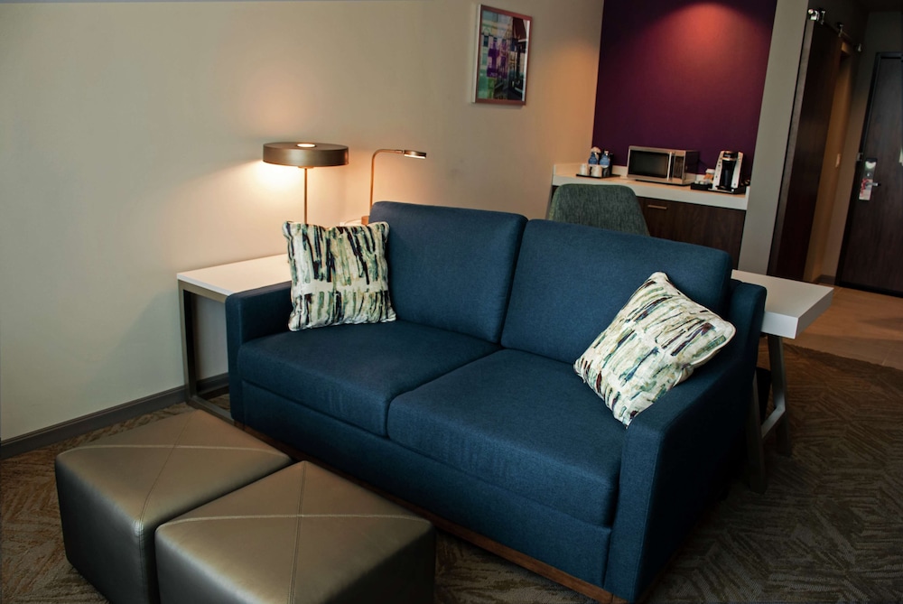 Hilton Garden Inn Dallas At Hurst Conference Center 42/53