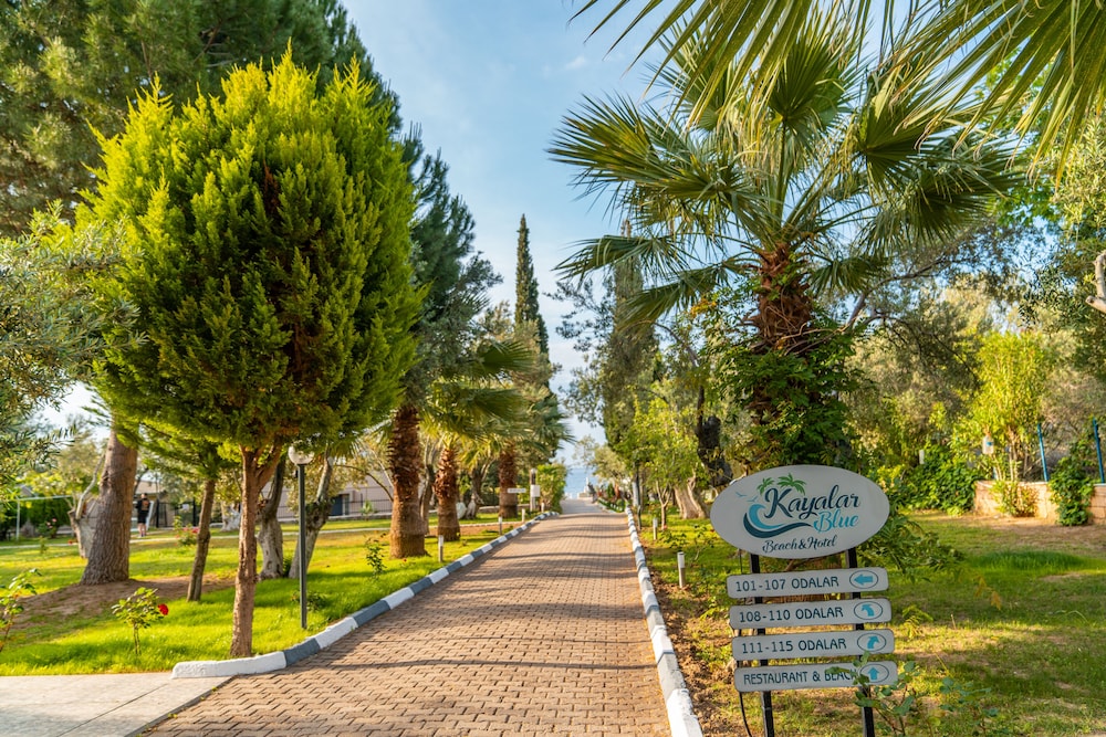 Assos Kayalar Blue Beach Hotel 39/50