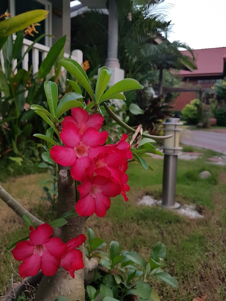 Baan Penny酒店(Baan Penny) 图片3