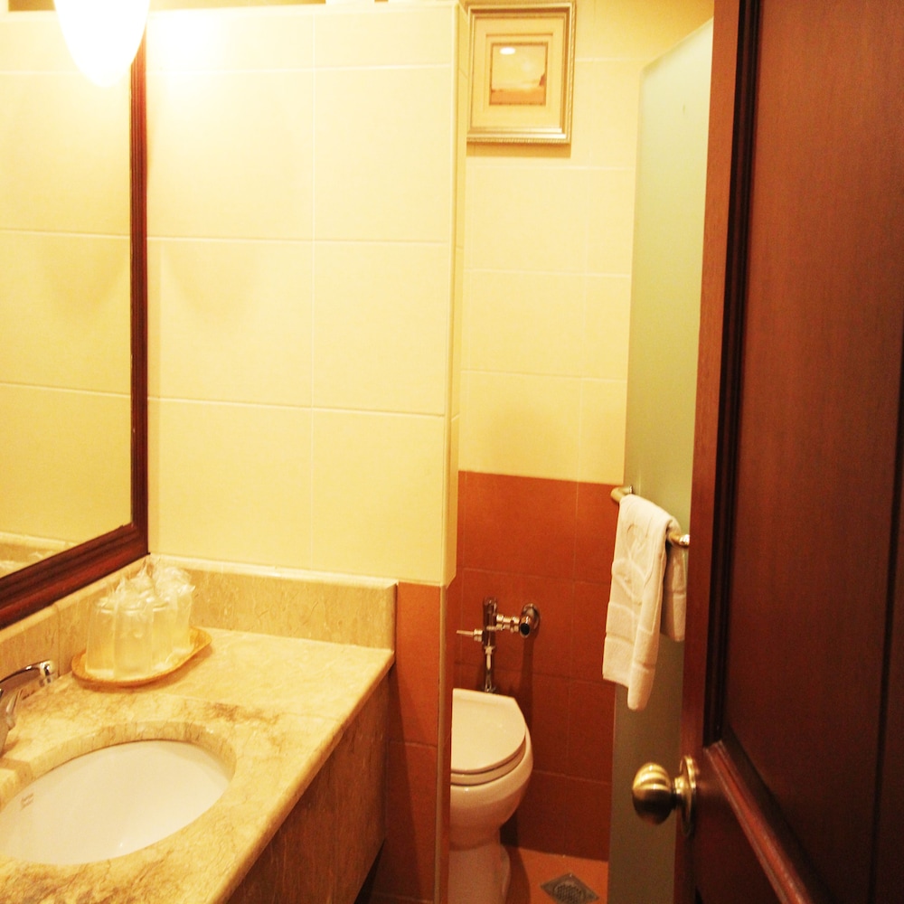 Sarrosa International Hotel And Residential Suites 45/50