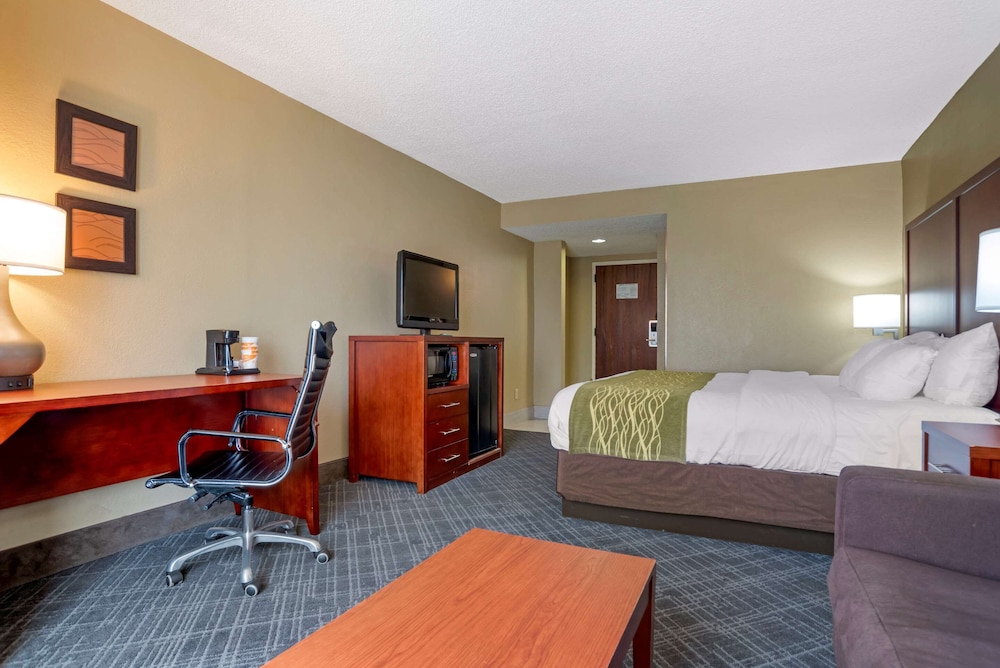 Comfort Inn Baton Rouge 10/33