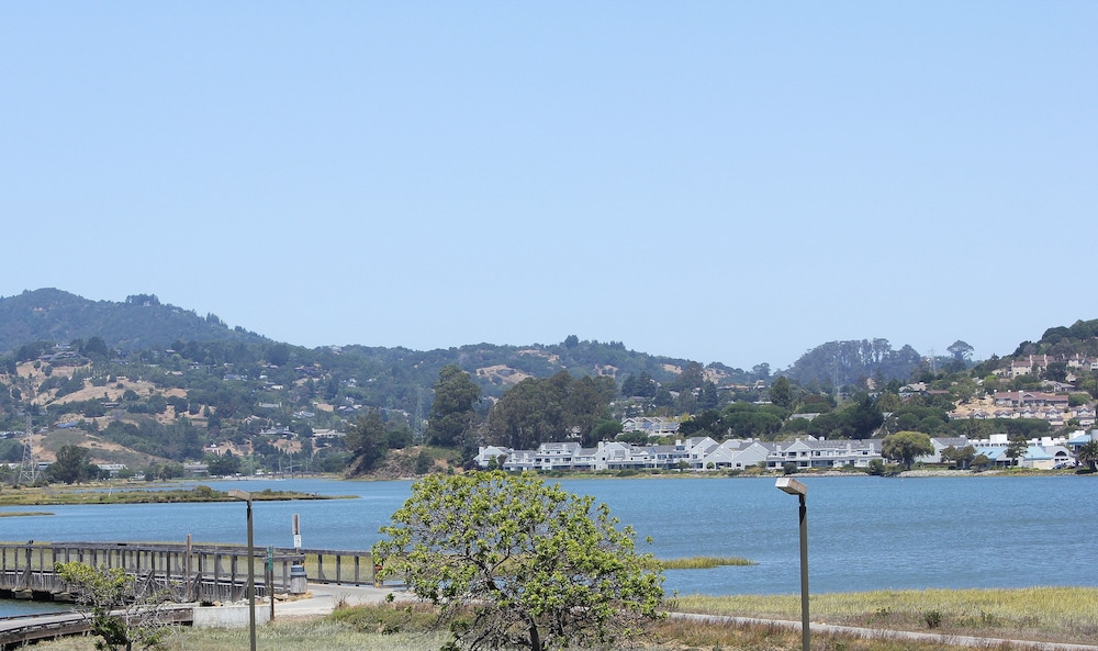 surroundings