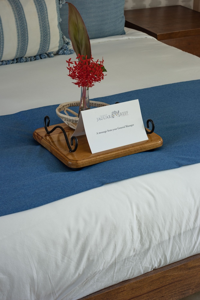 Jaguar Reef Lodge And Spa 29/73