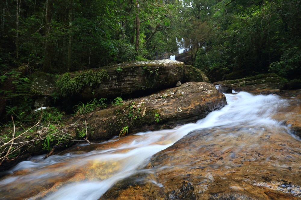 Rainforest Eco Lodge 28/41