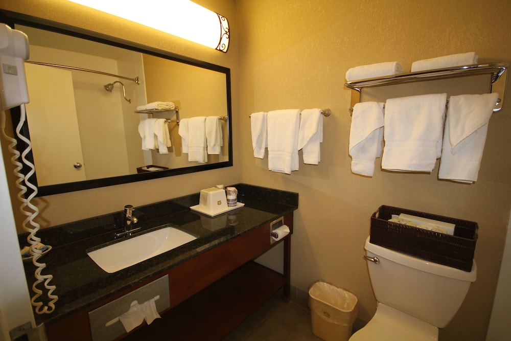 Best Western Plus Wooster Hotel & Conference Center 32/48