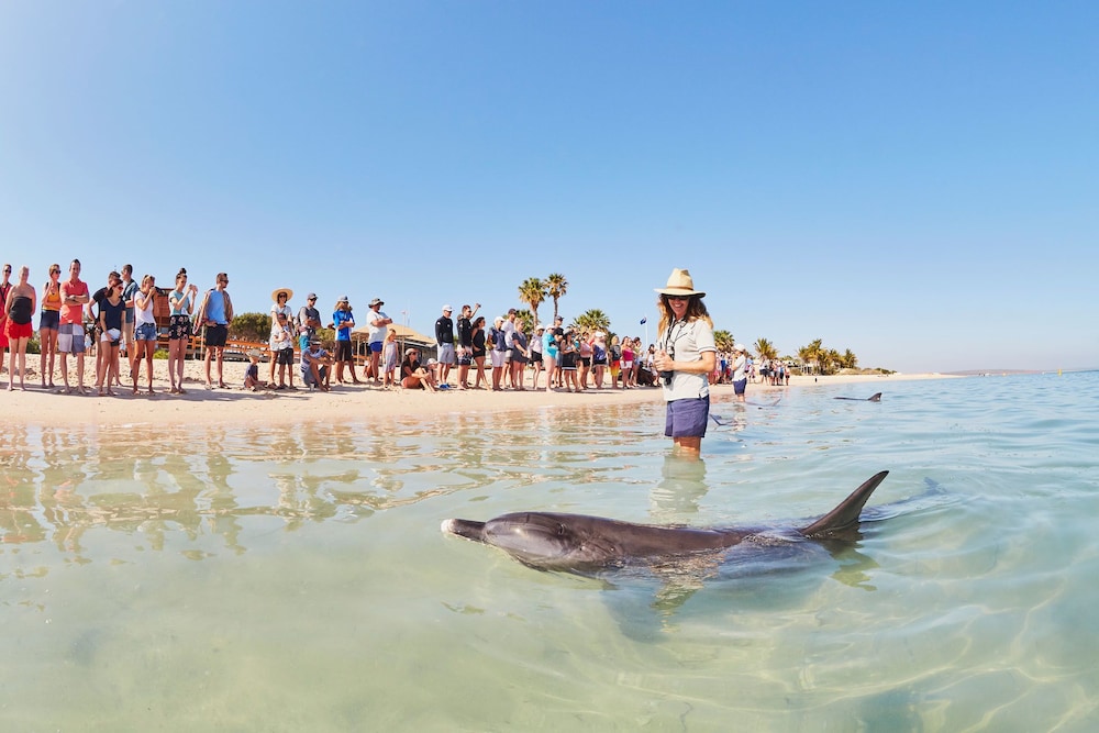 Rac Monkey Mia Dolphin Resort 64/74