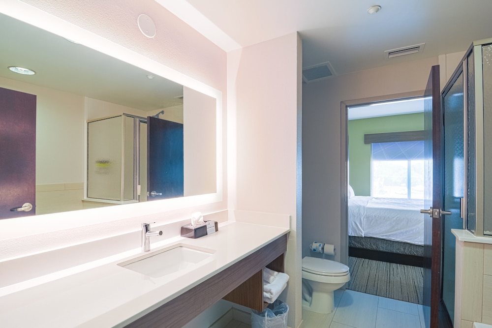 Holiday Inn Express Hotel Suites Tampa Usf Busch Gardens 31/70