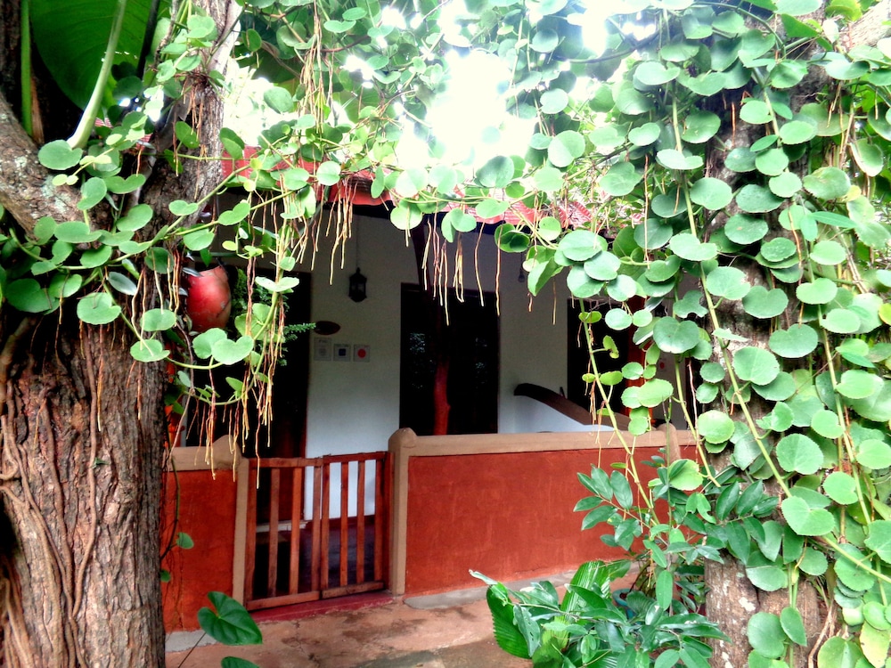 Sisira Natural Lodge 3/50