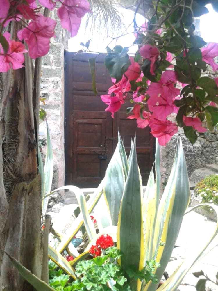 B&B Masseria Delle Rose 1760 5/33