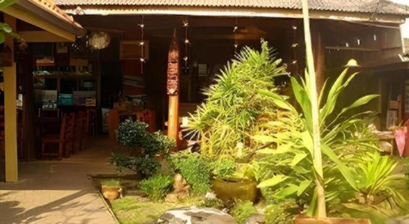Seaza Hotel 20/23