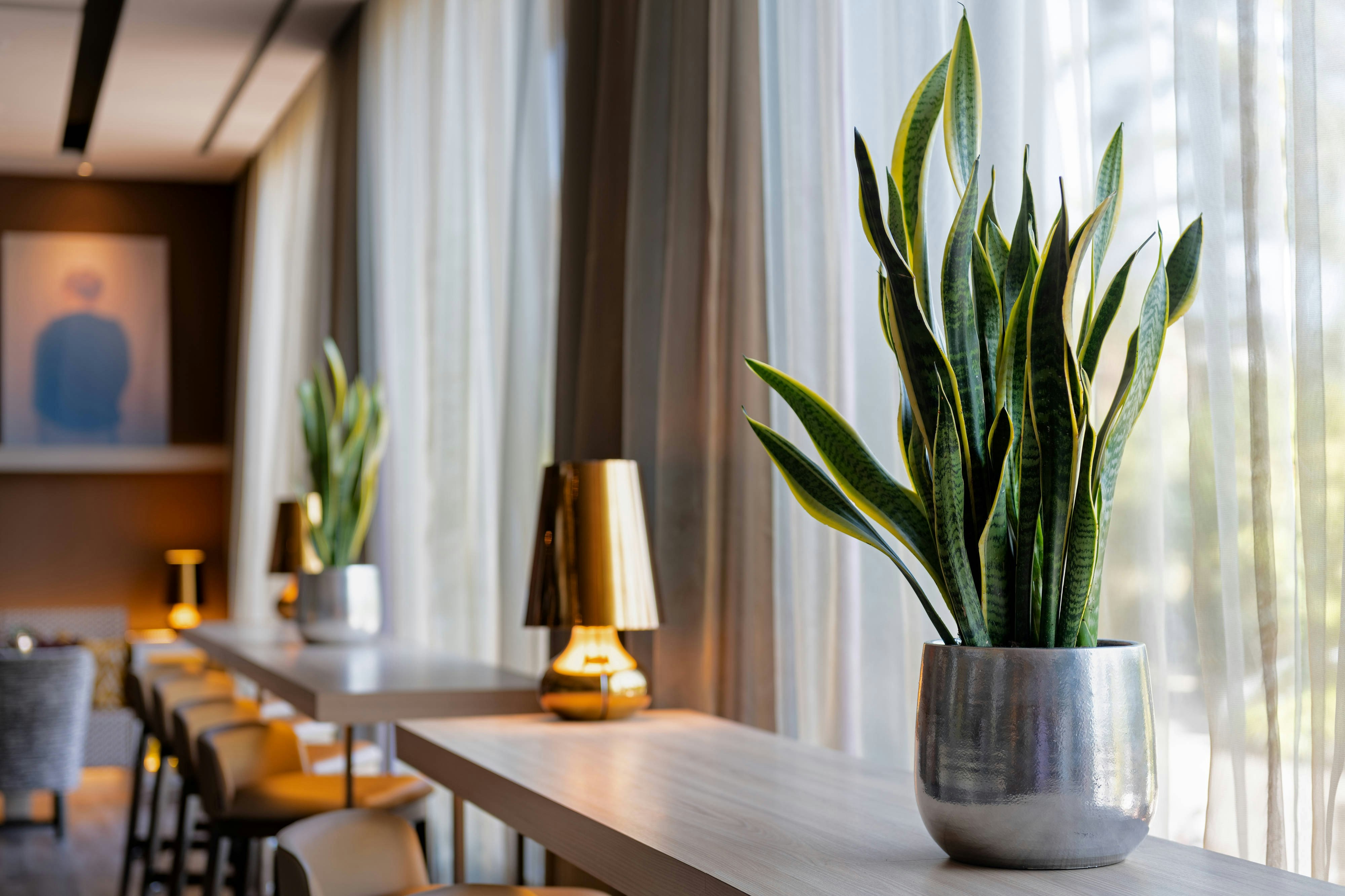 Ac Hotel Malaga Palacio By Marriott 51/54
