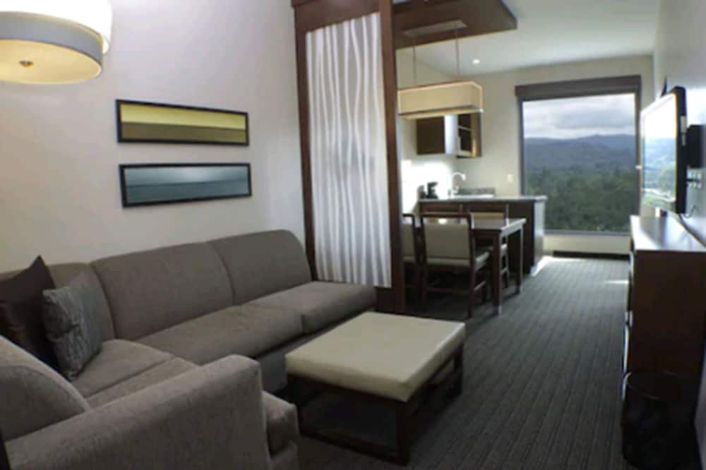 Hyatt Place San Jose/Pinares 39/64