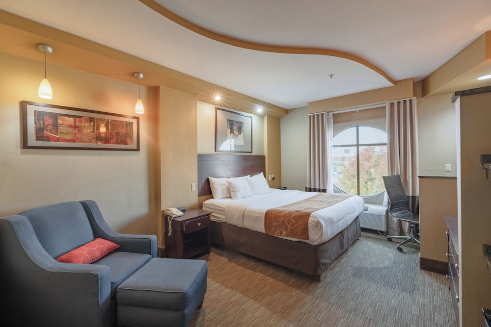 Comfort Suites Perrysburg - Toledo South 17/49