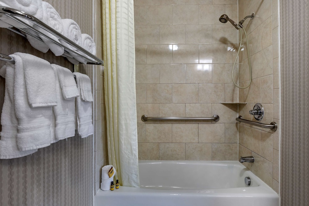 Best Western Plus Dfw Airport West Euless 15/41
