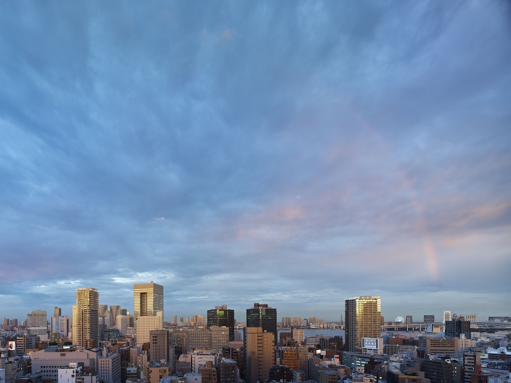 Hotel The Celestine Tokyo Shiba 34/68