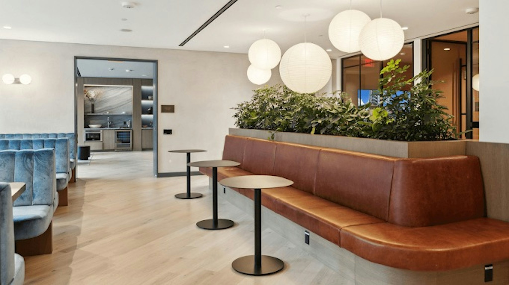 Placemakr Buzzard Point 17/24