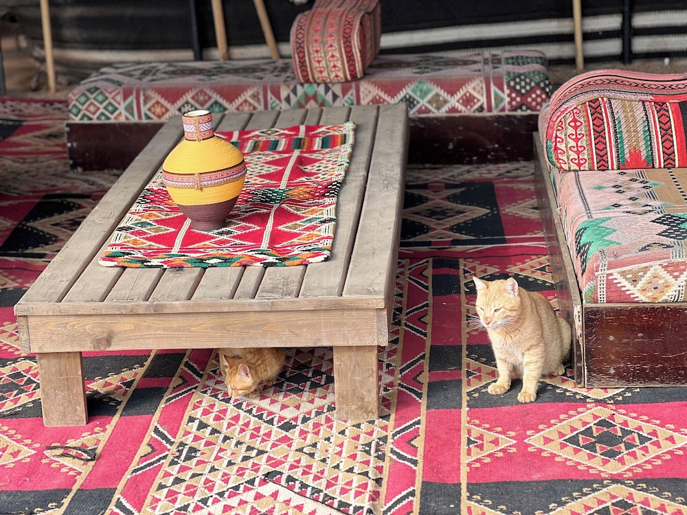 Wadi Rum Mazayen Camp 35/50