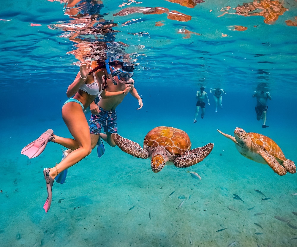Lagun Blou Resort Curacao 40/59