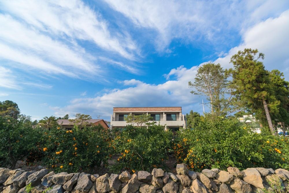 Misoga Pension 43/50