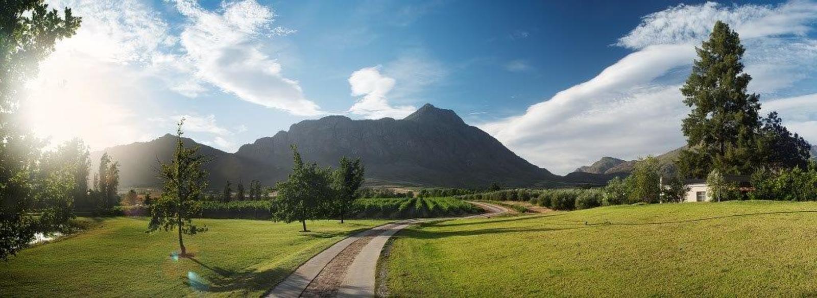 Saronsberg Vineyard Cottages 23/47