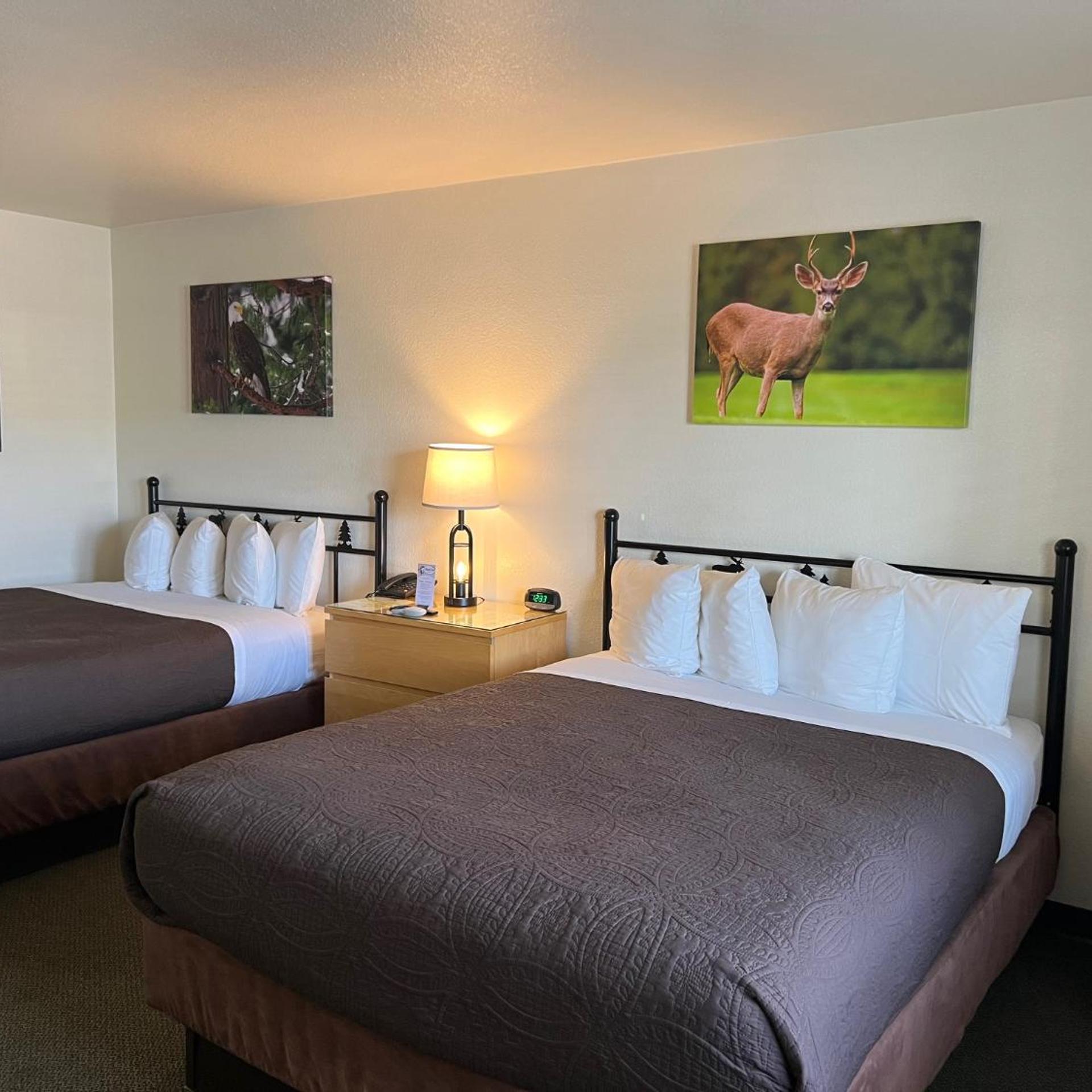 Antlers Inn 13/50