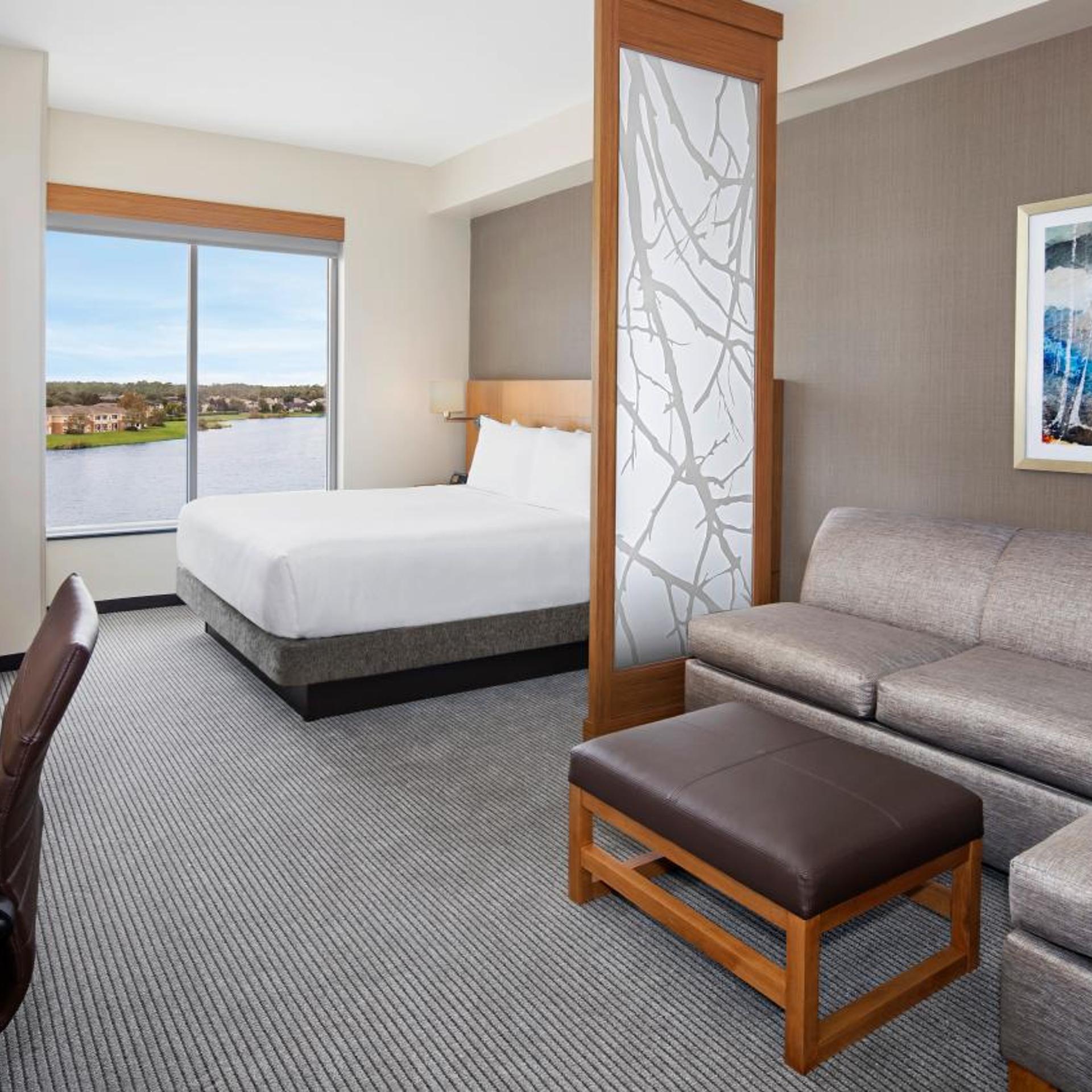 Room, King Bed, with View
