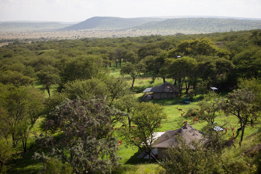 Serengeti Pioneer Camp 18/29