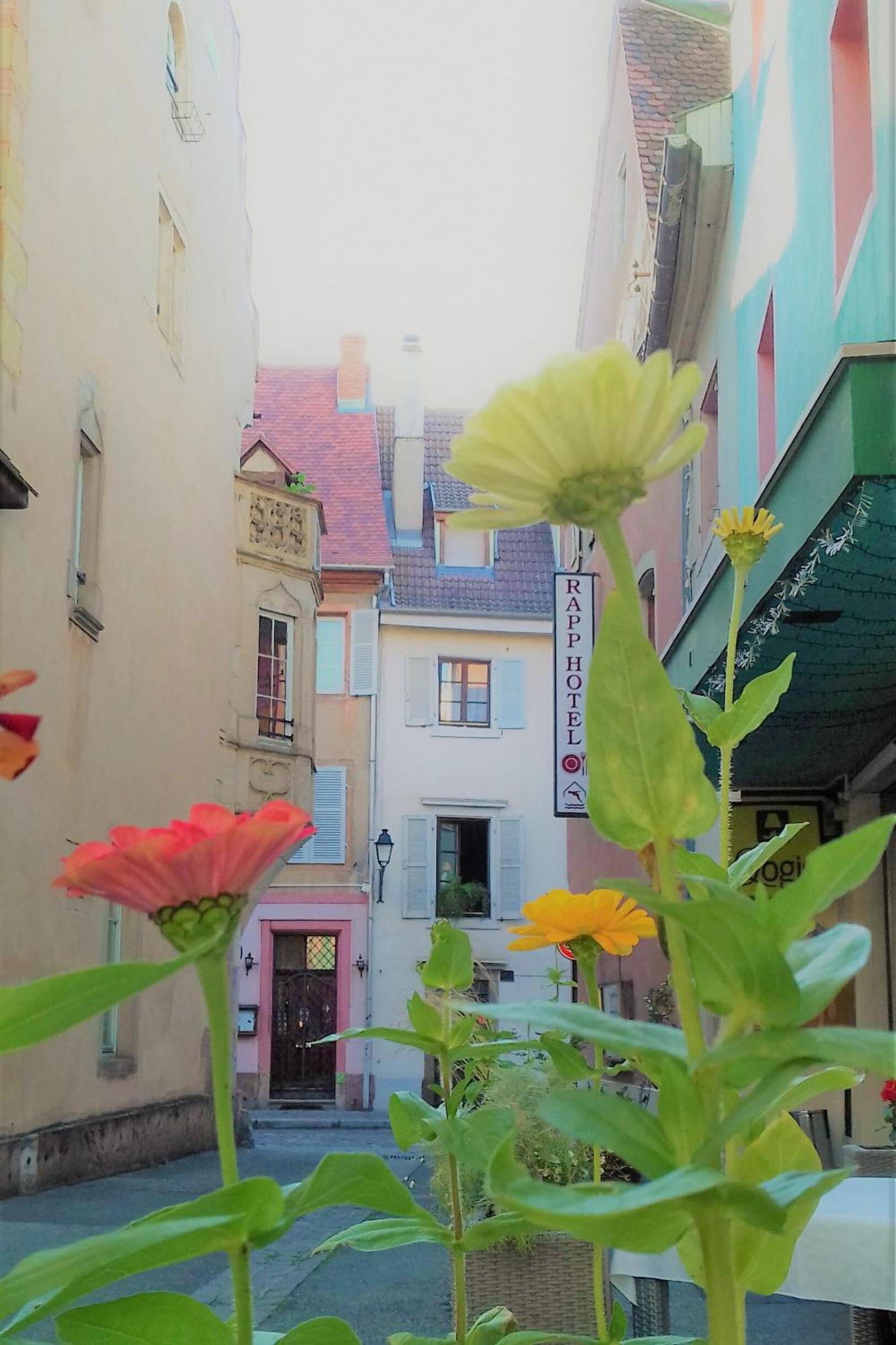Logis Hotel Restaurant le Rapp 4/50